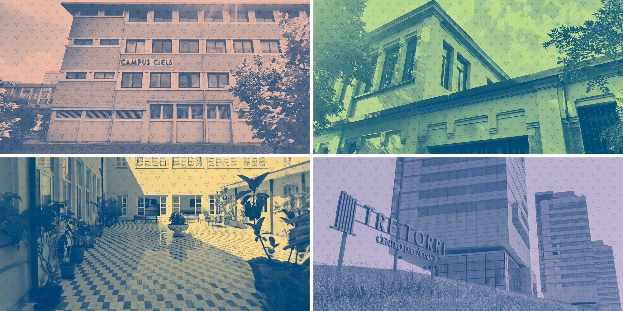 landing_banner_sedi-4 landing_banner_sedi-4